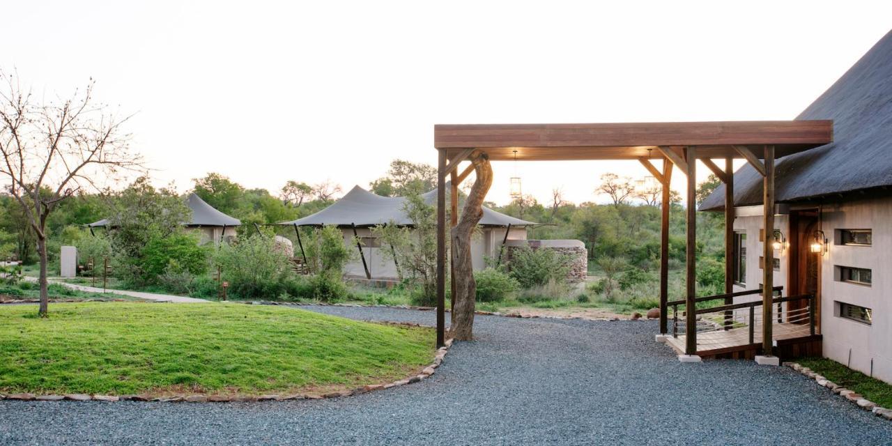 Thabamati Luxury Tented Camp 팀바바티 수렵금지구역 외부 사진